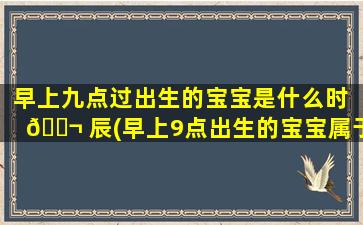 早上九点过出生的宝宝是什么时 🐬 辰(早上9点出生的宝宝属于什么命)